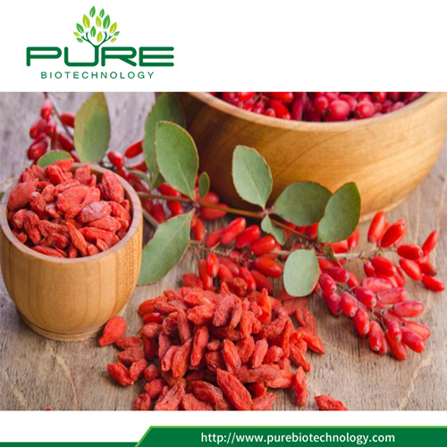 Organic Dried Fruit Goji Berry