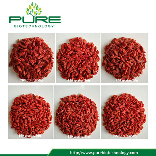Organic Dried Fruit Goji Berry