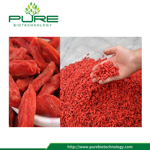 Organic Dried Fruit Goji Berry