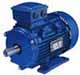 ELECTRIC MOTOR