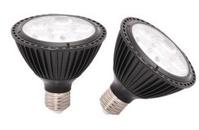 LED Par Lamp