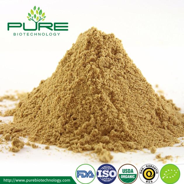 Organic Dried Ginger Powder