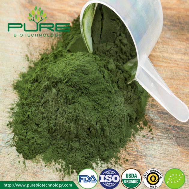 Organic Natural Chlorella Powder