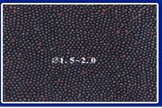 plunger lubricant particles