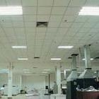 Gypsum Ceiling Tile