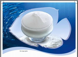 Fish Collagen Peptide-Material