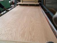 China concrete formwork plywood