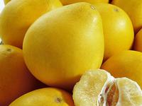 honey pompolo