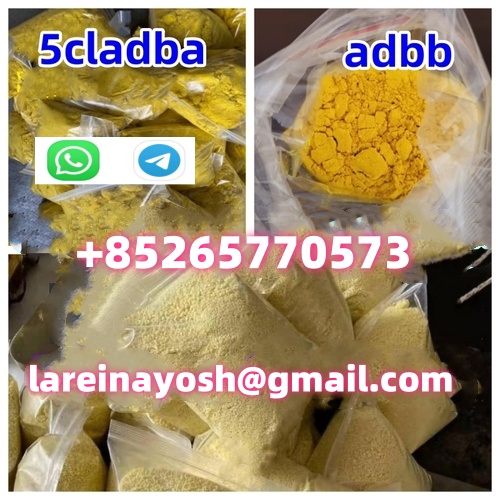 Highest Purity CAS 14680 51 4