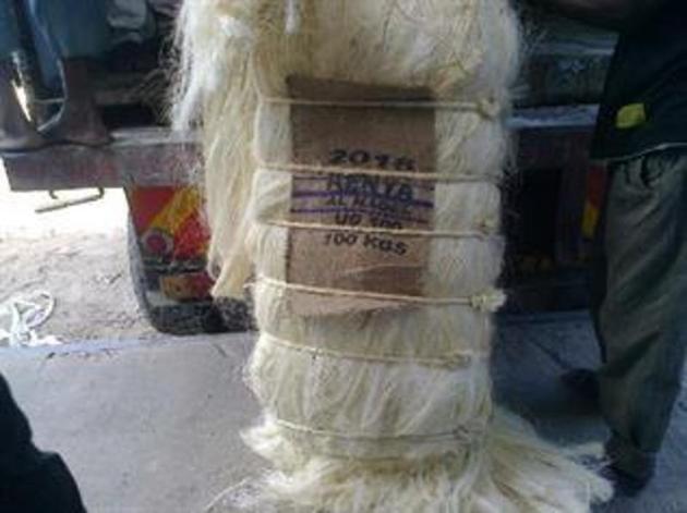 SISAL FIBRE