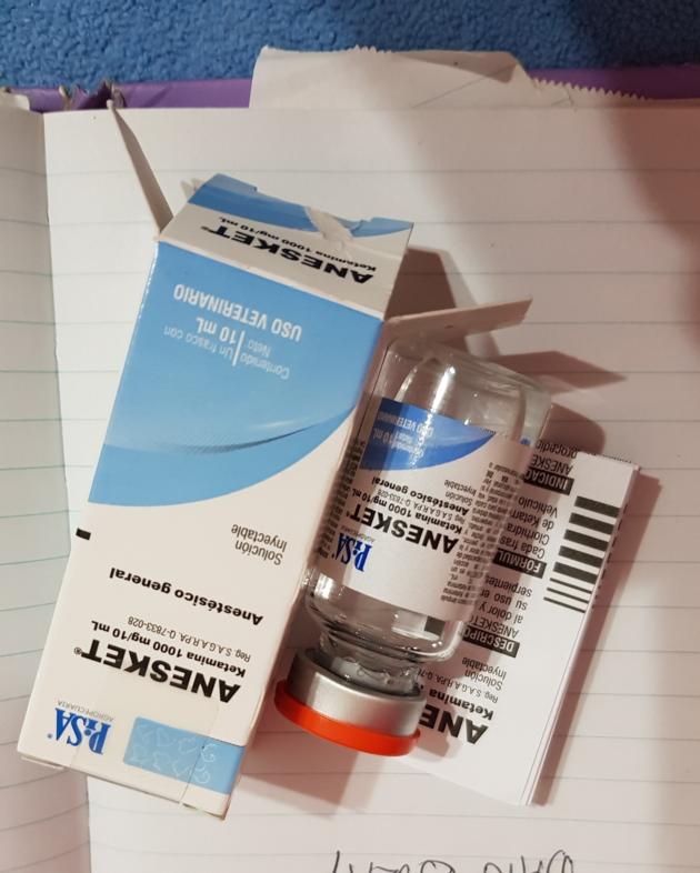 pure 1000mg/10ml anesket vial