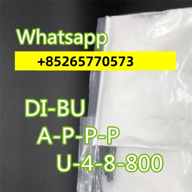 CAS 137-58-6 /Lidocaine from china manufacture vvhatsapp+85265770573