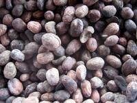 Superb opportunity to purchase almonds of shea