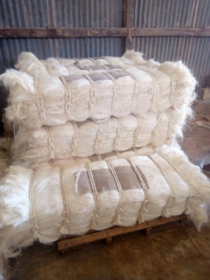 SISAL FIBRE