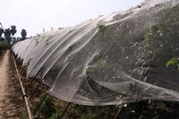 Anti-hail Net