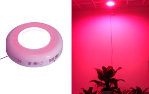 60w led grow light