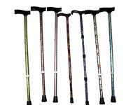 Fashion cane