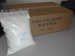 fish collagen powder