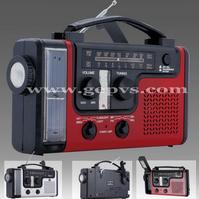 Solar Dynamo Radio