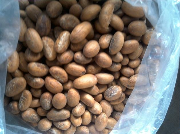 Cashew Nuts And Other Nuts