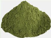 Moringa Leaf powder