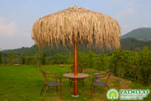 palm leaf thatch umbrella