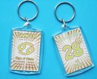 plastic key chain