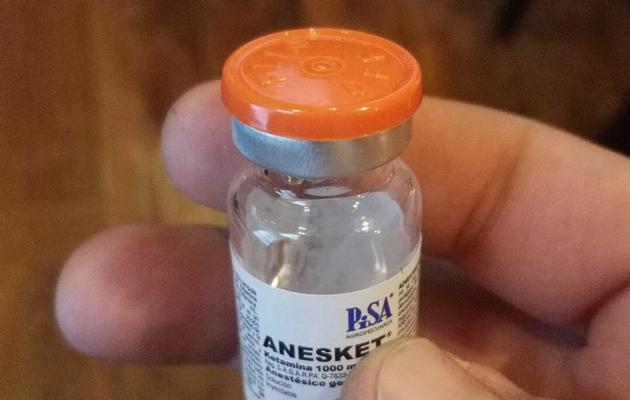 Anesket vials available.