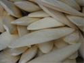 Pet Products (Cuttle Bone, Accessories)