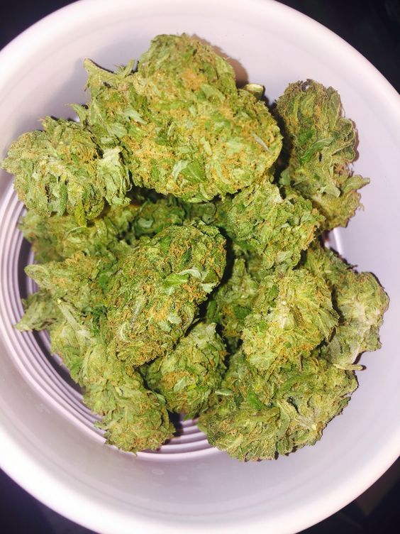Top shelf marijuana and concentrates