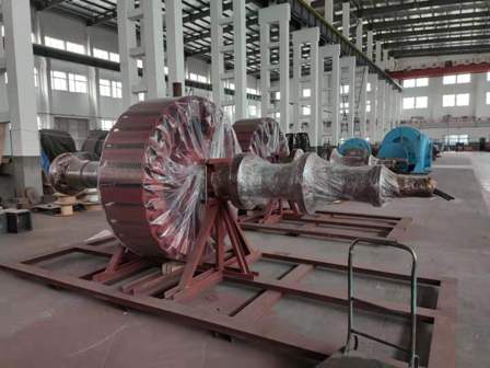 Hydro-generator Unit for Congo  Kinshasa Power Station
