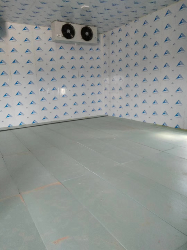 Fish Cold Storage Room Freezer Refrigerator