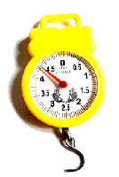 electronic portable scale