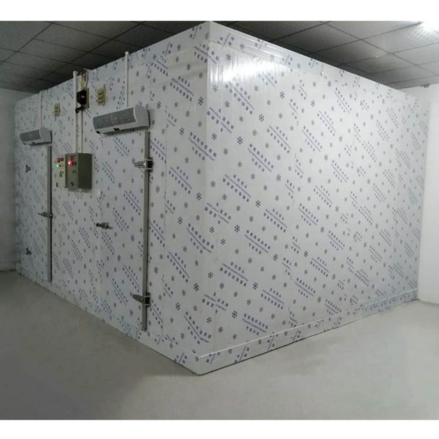 25 30 Chambre Froide Blast Freezer