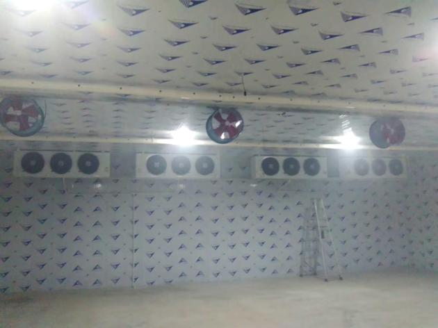 Fish Cold Storage Room Freezer Refrigerator