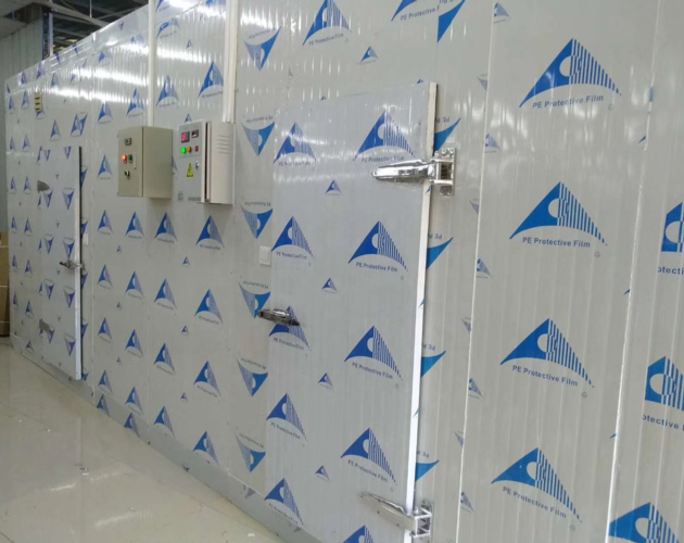 25 30 Chambre Froide Blast Freezer