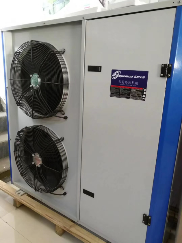Cold Storage Condensing Unit Chiller Room