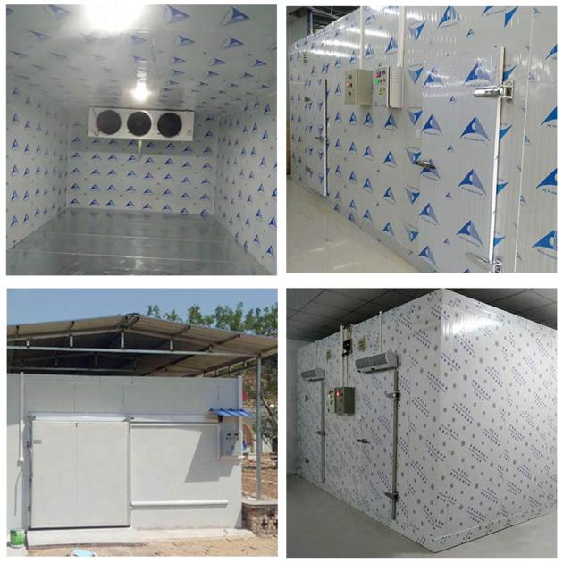 Meat Freezer Cold Storage Room Price