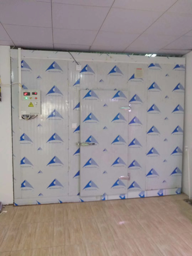 25 30 Chambre Froide Blast Freezer