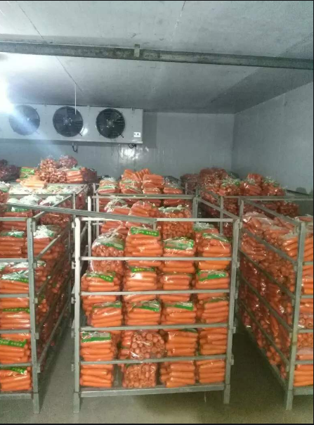 Cold Storage Condensing Unit Chiller Room