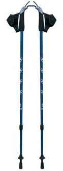 nordic walking stick