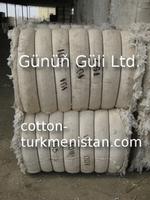 Cotton Gin Motes