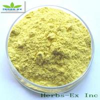 Ginger Root Extract
