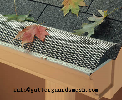Hinged Gutter Guard
