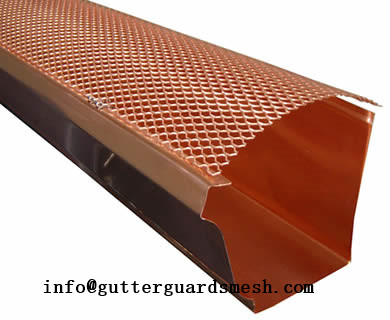 Hinged Gutter Guard