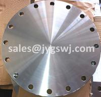 ANSI forged stainless steel pipe flange