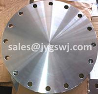 1.4301/1.4307 blind pipe flange