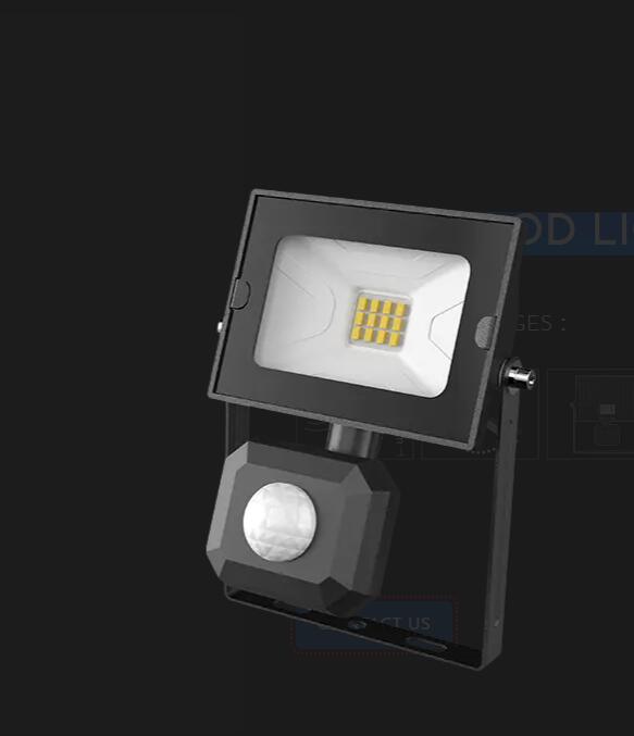 1010S-FLOOD LIGHT 10W