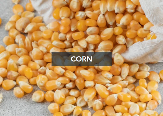 Corn