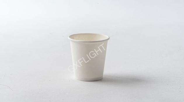 Biodegradable Sugarcane Bagasse Cups